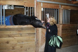 Cindy Pasky checks out the horses